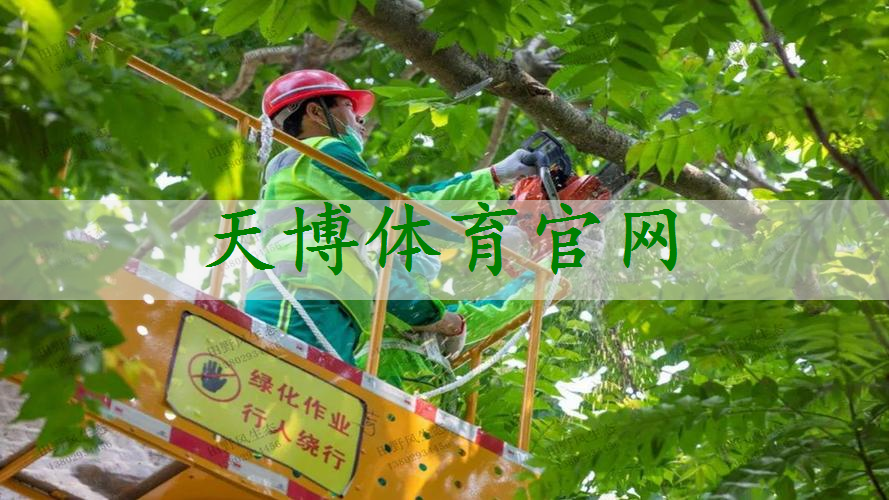 塘沽市政绿化工程是什么工程