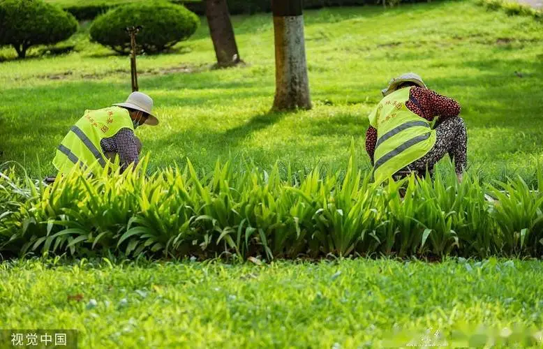 办公室园林景观设计
